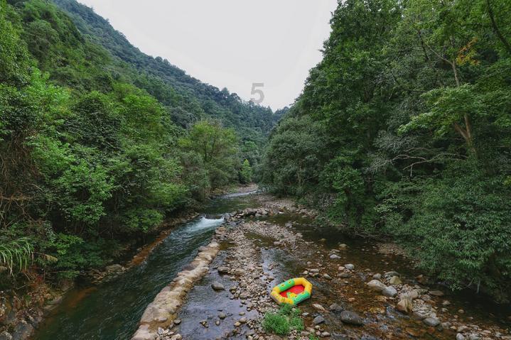 经典又充满活力,湖南省生物医学工程学会年会共谋学科发展